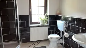 Bad der Ferienwohnung mit Duschkabine, schwarz marmorierten Fliesen und Fenster mit Grünpflanze